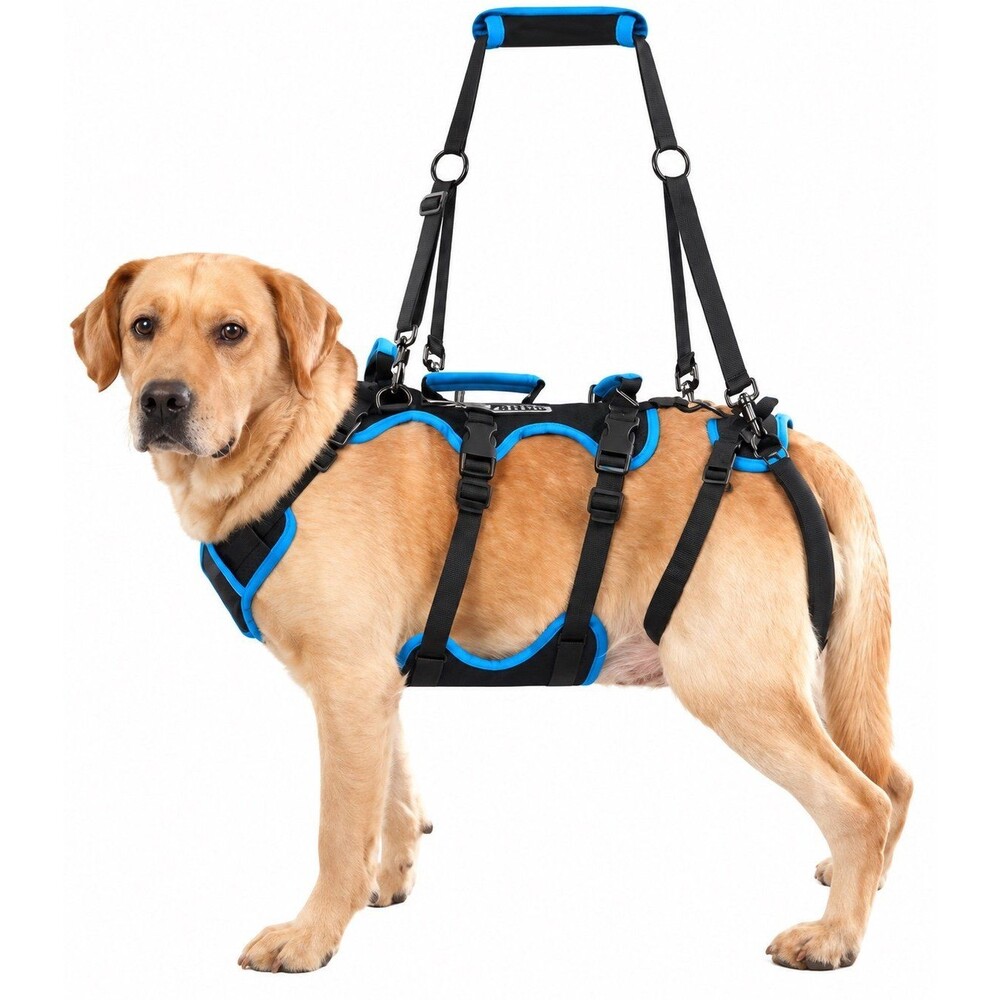 Dog Lifting Harness for Hind Legs Support